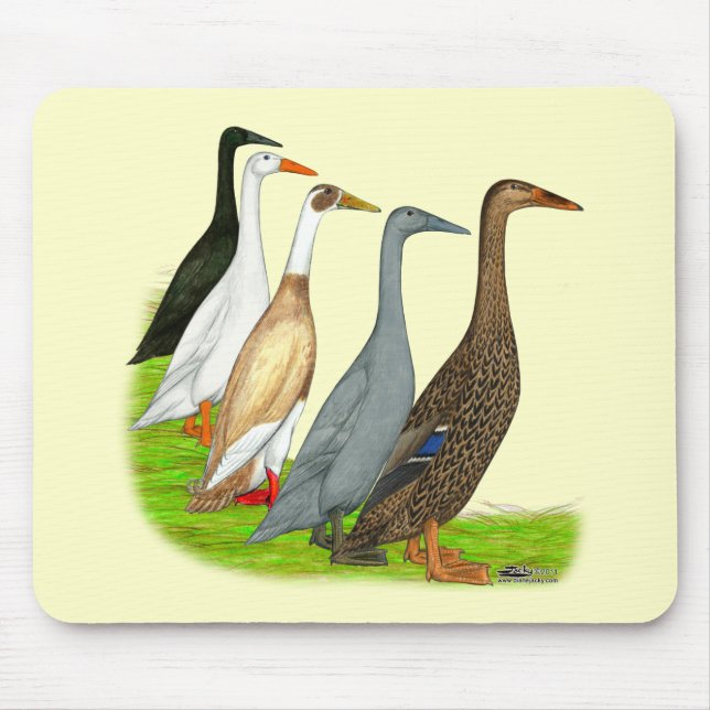 Mousepad Corredor Duck Assortation (Frente)
