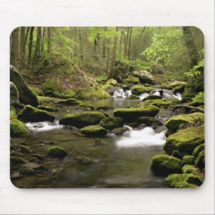 Mousepad Córrego do primavera