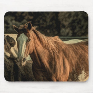 Mousepad Corrente primitiva cavalo selvagem do país ocident