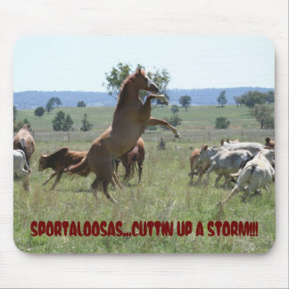 MOUSEPAD CORTE DE SPORTALOOSA