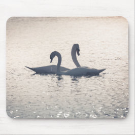 Mousepad Cortejando a natureza dos cisnes