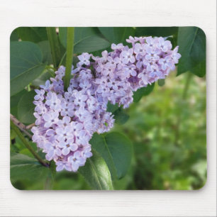 Mousepad cortina lilática