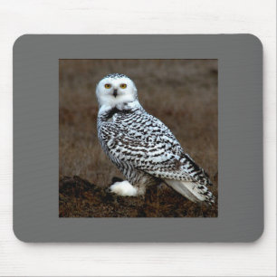 Mousepad Coruja