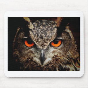 Mousepad Coruja