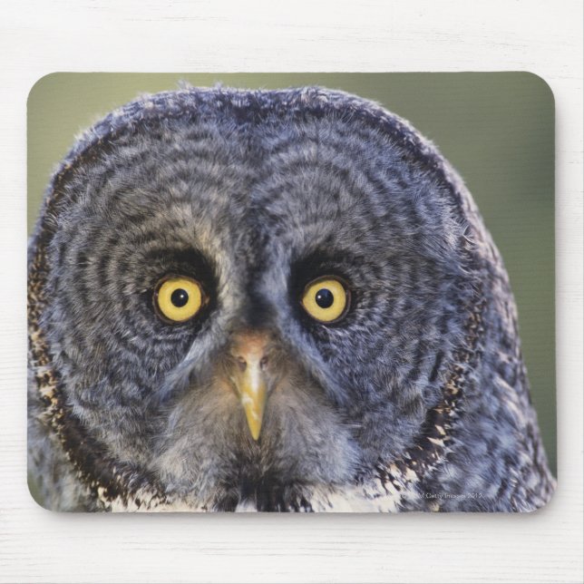 Mousepad Coruja 3 (Frente)