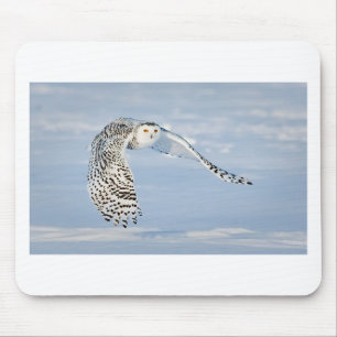 Mousepad Coruja Animal Ave Inverno Neve Congelado Gelo Frio