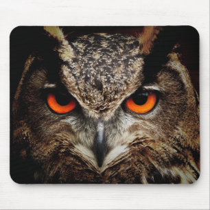 Mousepad coruja, ave, animal