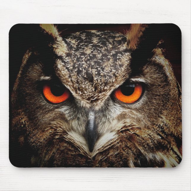 Mousepad coruja, ave, animal (Frente)