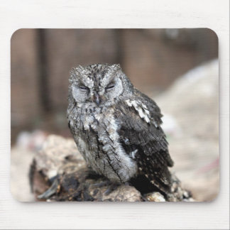 Mousepad Coruja cinzenta bonito