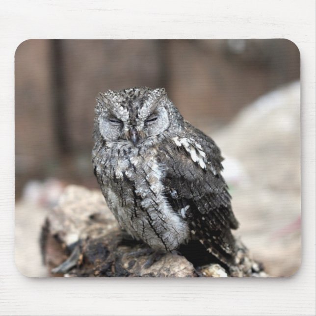 Mousepad Coruja cinzenta bonito (Frente)
