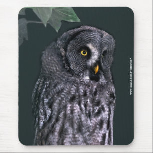 Mousepad Coruja Cinzenta Grande