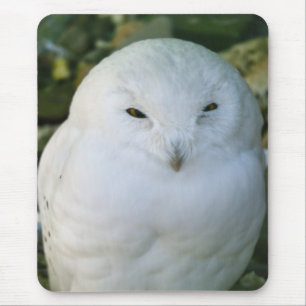 Mousepad Coruja das Neves