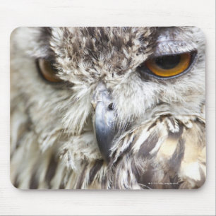 Mousepad Coruja de Bengal Eagle