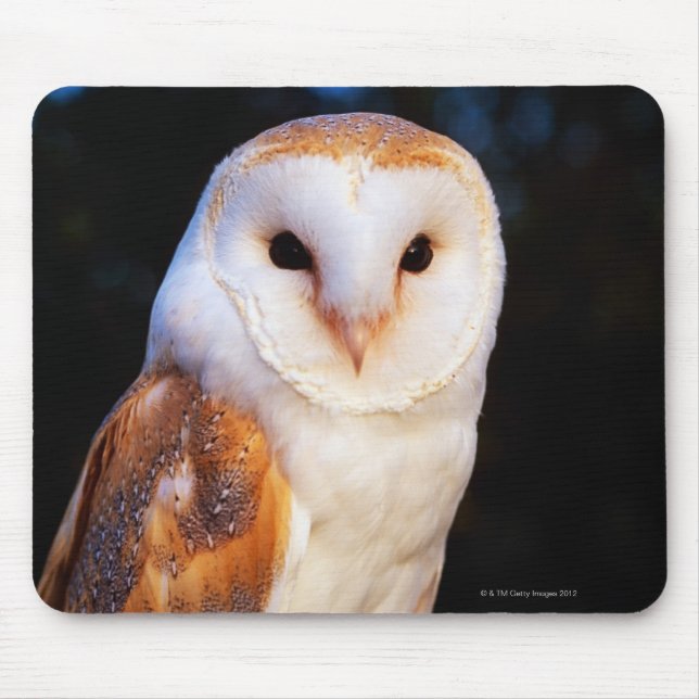Mousepad Coruja de celeiro (Frente)