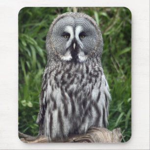 Mousepad Coruja de grande cinza