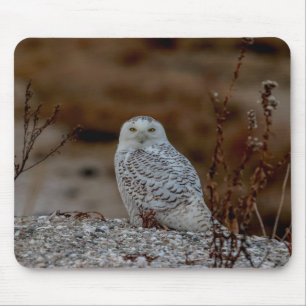 Mousepad Coruja de neve sentada numa rocha