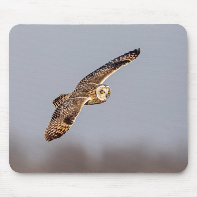 Mousepad Coruja-de-orelha-curta no Shawangunk Grasslands (Frente)