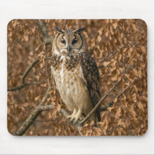 Mousepad Coruja-de-orelha-longa se Escondendo em Folhas Cas