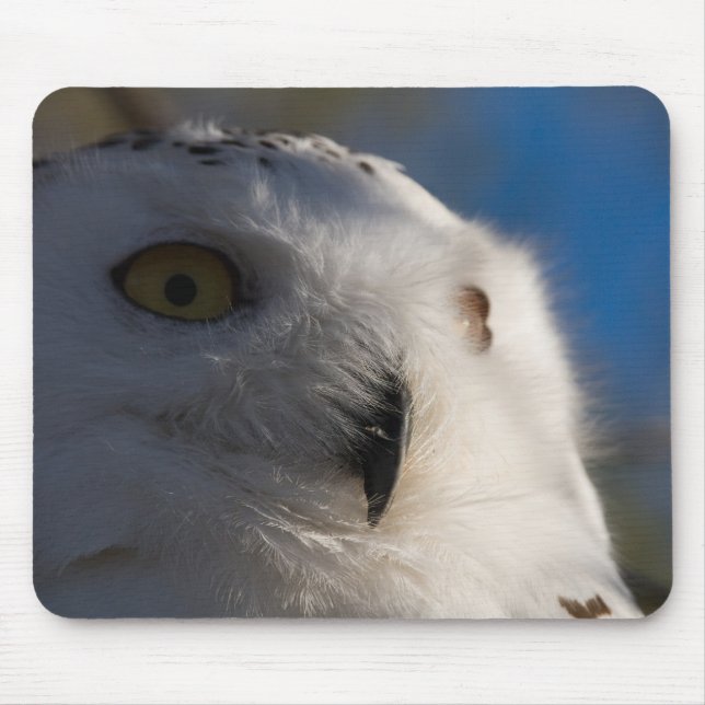 Mousepad Coruja de Snowy White (Frente)