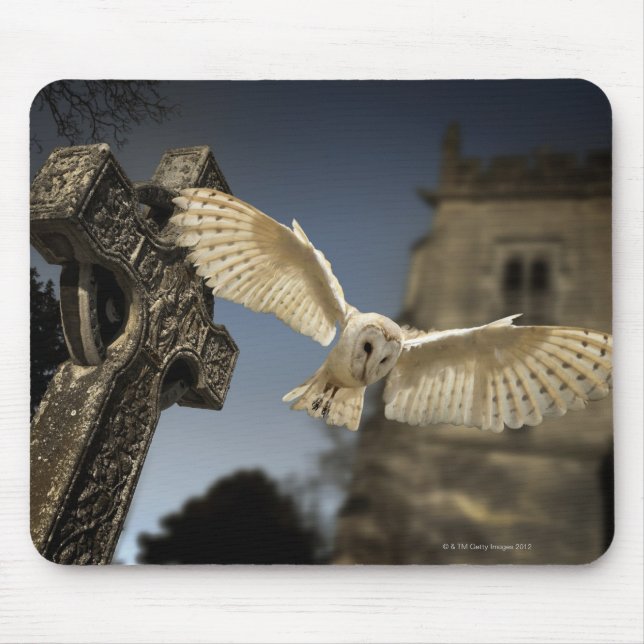 Mousepad Coruja-do-mar (Tyto alba) num cemitério do Norte (Frente)