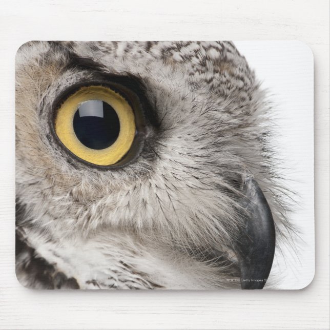 Mousepad Coruja excelente-Coroa-Coroa-Coroa-Coroa-Bubo Virg (Frente)