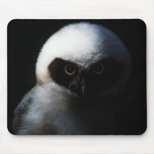 Mousepad Coruja Felpudo Branca com Gaze Piercing (Frente)