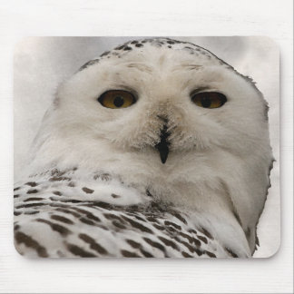 Mousepad coruja nevado