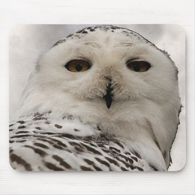 Mousepad coruja nevado (Frente)