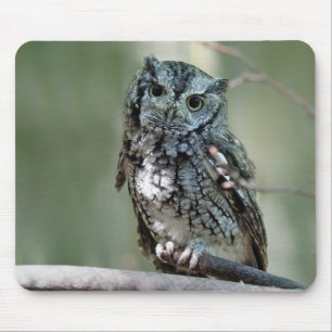 Mousepad Coruja Oriental, Coruja, Sentada