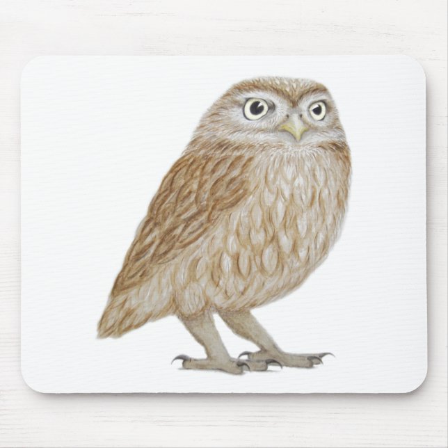 Mousepad Coruja pequena 2011 (Frente)