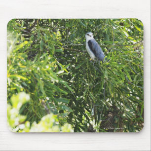 Mousepad Coruja que empoleira-se em uma árvore