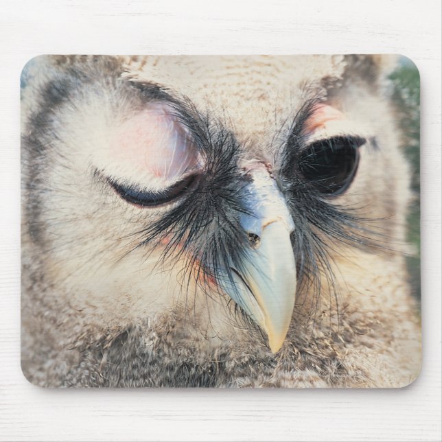 Mousepad Coruja Winking (Frente)