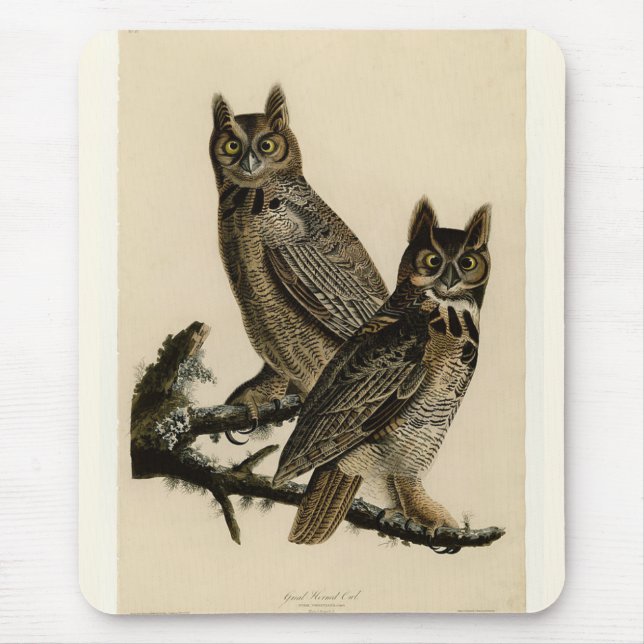 Mousepad Corujas excelentes (por John James Audubon) (Frente)