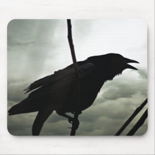 Mousepad Corvo/foto do corvo