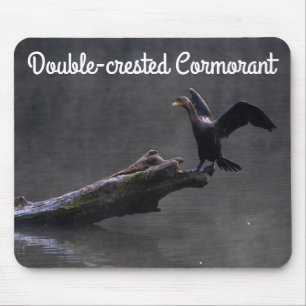 Mousepad Corvo-marinho