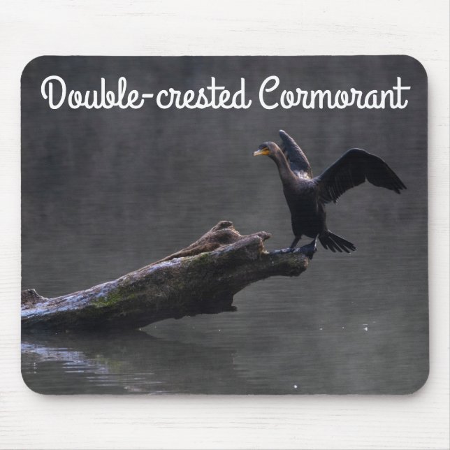 Mousepad Corvo-marinho (Frente)