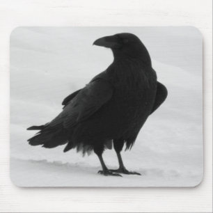 Mousepad Corvo orgulhoso