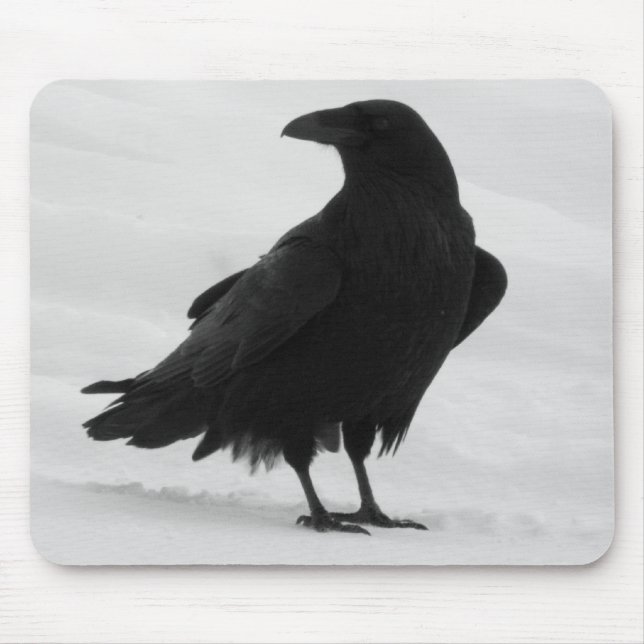 Mousepad Corvo orgulhoso (Frente)