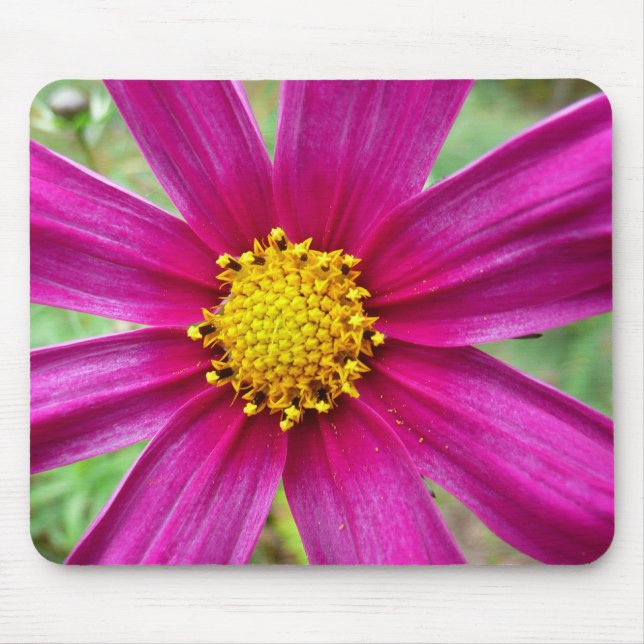 Mousepad Cosmos Wildflower (Frente)