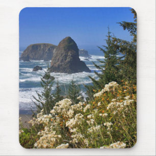Mousepad Costa de Oregon