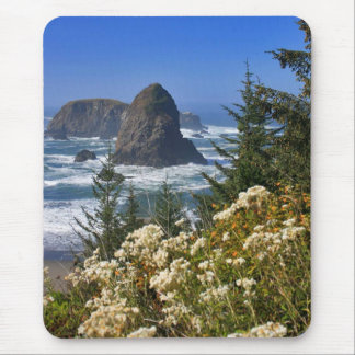 Mousepad Costa de Oregon