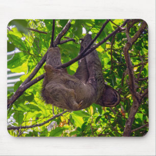 Mousepad Costa Rica - Lazy Sloth Feliz, Antonio Manuel NP