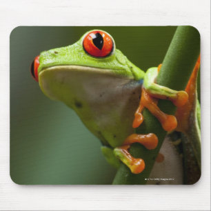 Mousepad Costa Rica, Monteverde, sapo de árvore