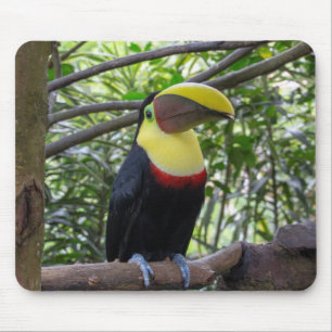 Mousepad costa rica, vida selvagem, natureza