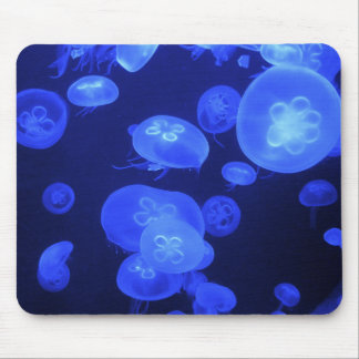 Mousepad Costume usual bonito das medusa da lua azul de