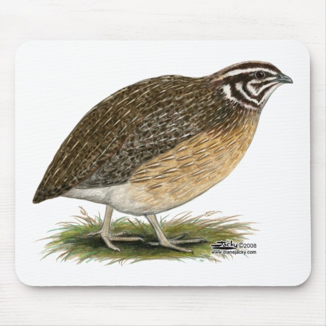 Mousepad Coturnix Pharaoh Quail (Frente)