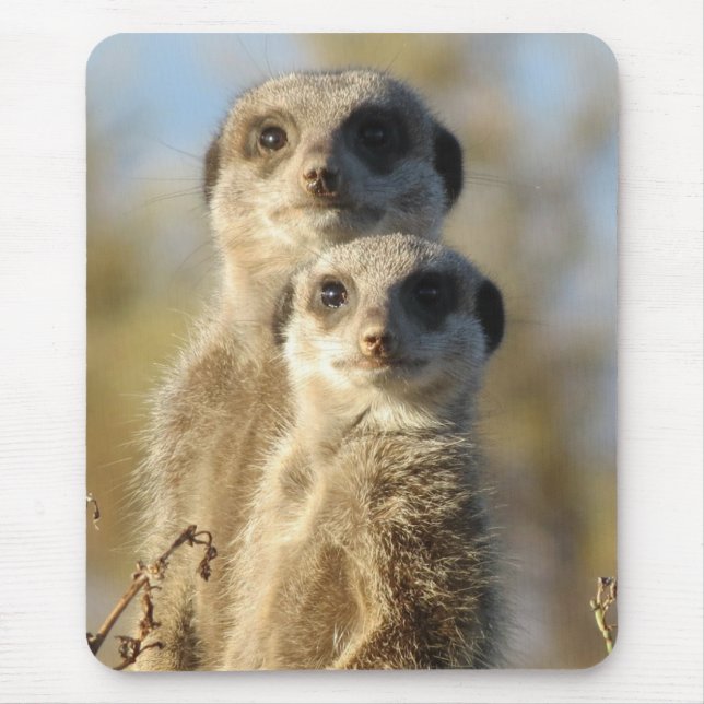Mousepad Couple of Meerkats Cute Photo (Frente)