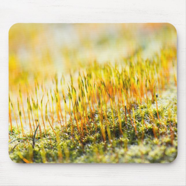 Mousepad Couve colorida (Frente)