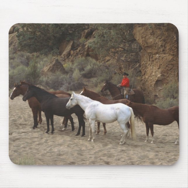 Mousepad Cowboy com Herd (Frente)