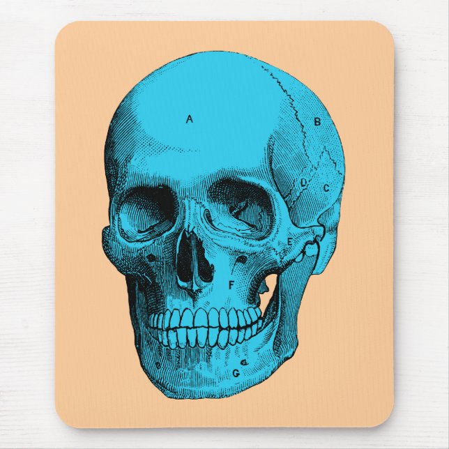 Mousepad Crânio humano da anatomia (Frente)